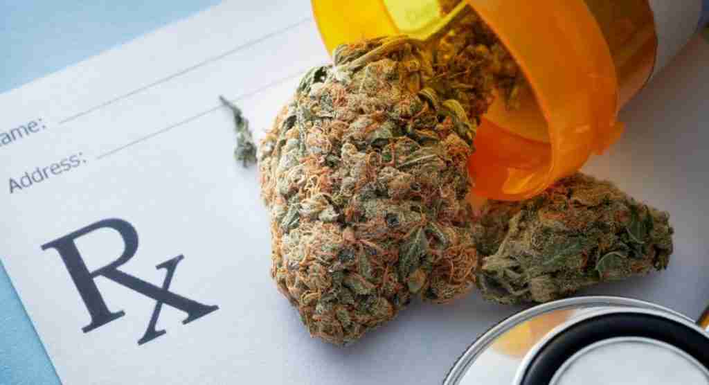 Medical cannabis - Farmacias Magistrales SA