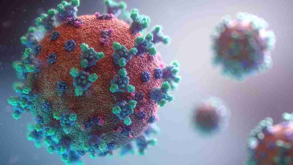 2019–20 coronavirus pandemic - Coronavirus disease 2019